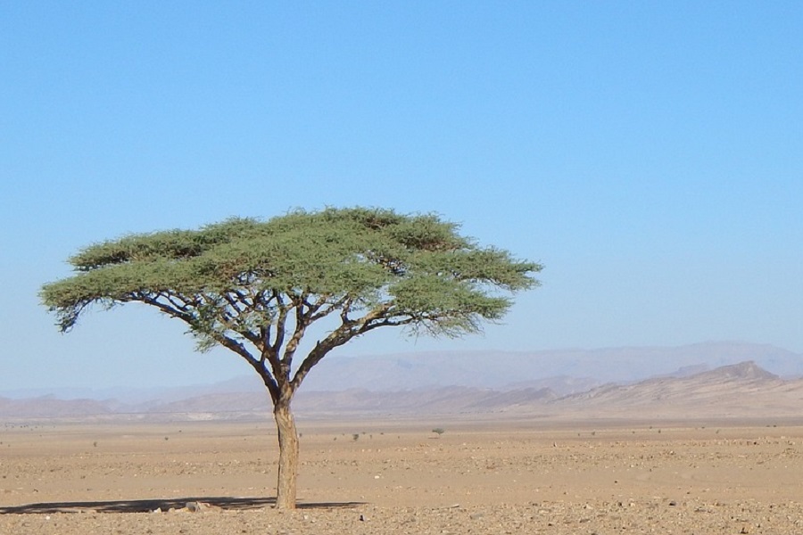 2 days Marrakech to Zagora