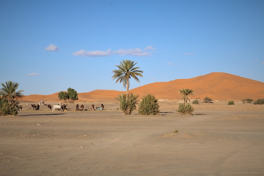 8 days Fes to Marrakech and desert