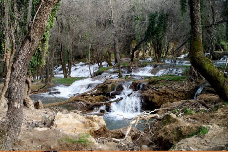 Day trip from Fes to Azrou