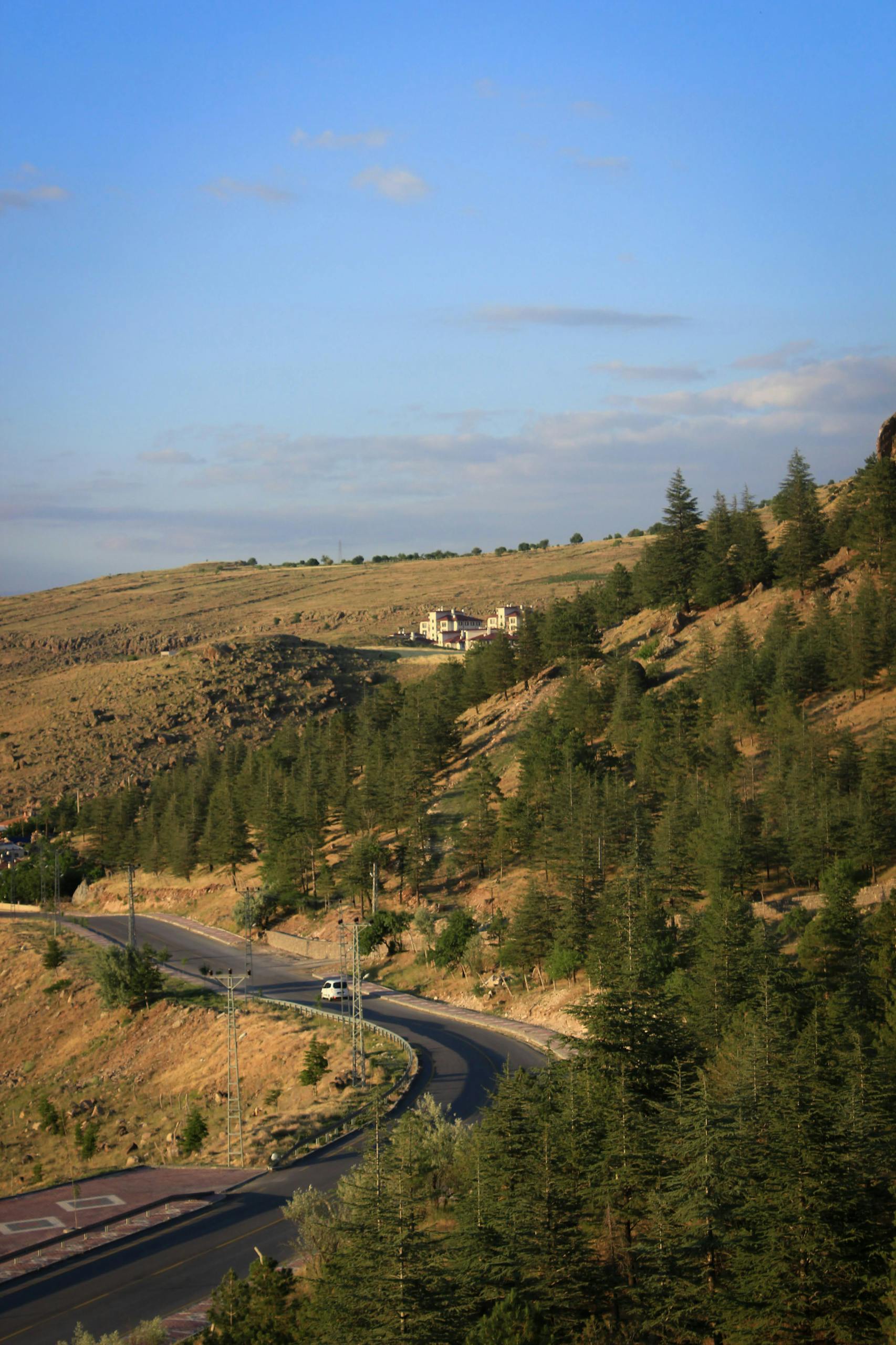 From above scenic view of empty asphalt road near hill with yellow grass and coniferous green trees under blue sky